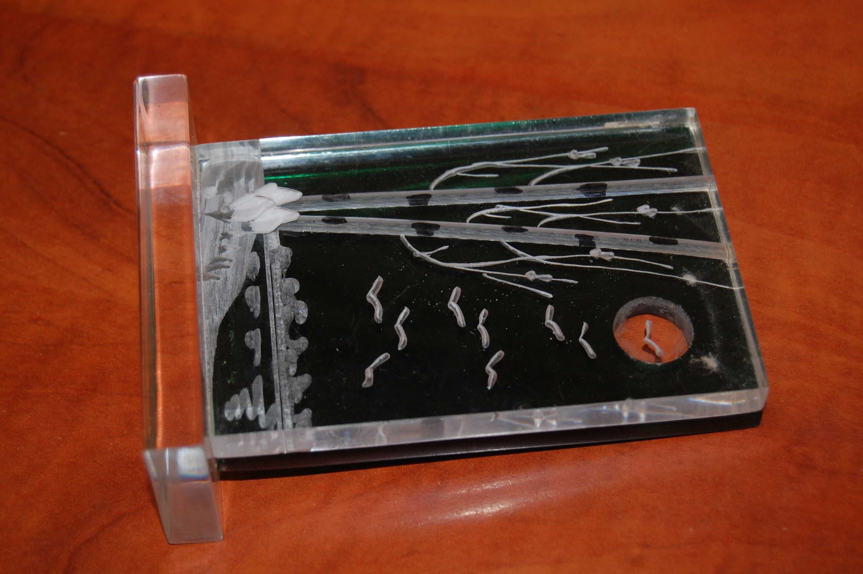 Pamiątka z plexi - ZSRR - PRL