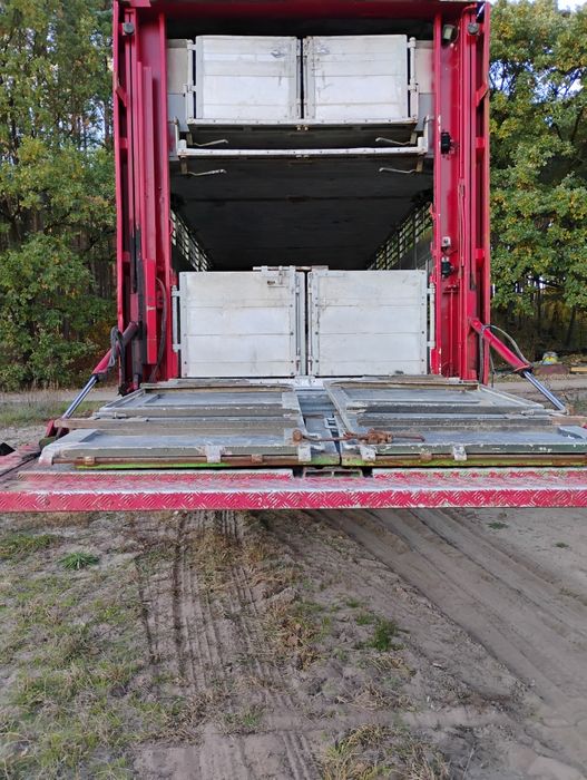 Renault Magnum do przewozu zwierząt 3 piętra( zamienię traktor koparka