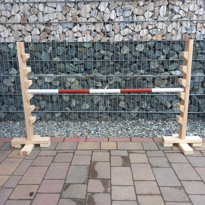 Przeszkodą hobby horse