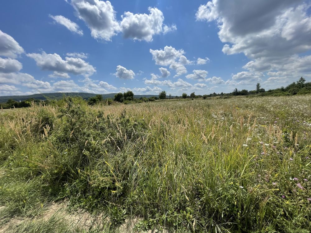 Продаж ділянки Оноківці