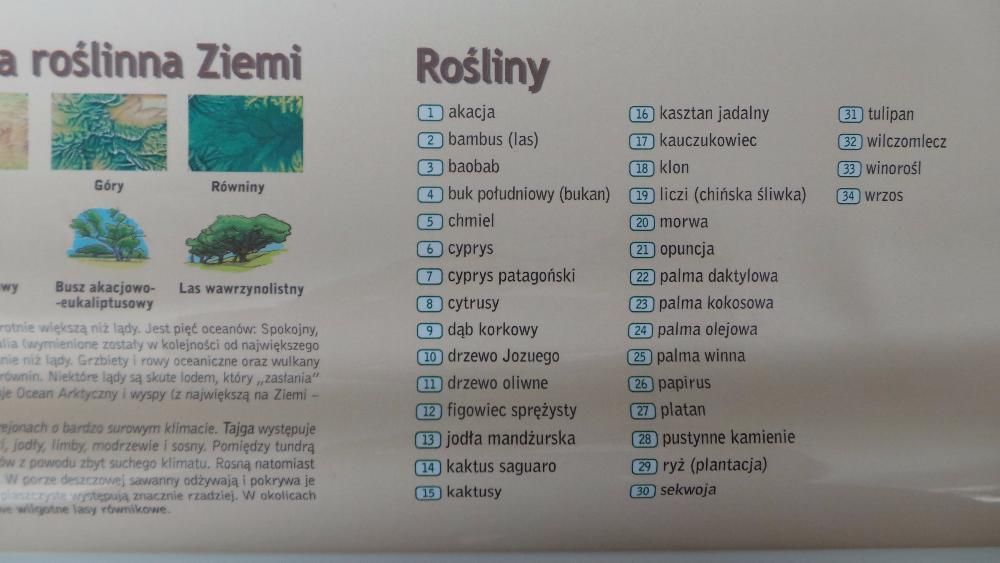 POLSKA NIEZWYKŁA, ŚWIAT niezwykły Mapa Ścienna dla DZIECI 7-14l DEMART