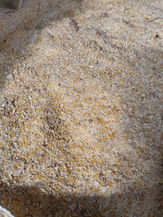 Kukurydza mielona bigbag