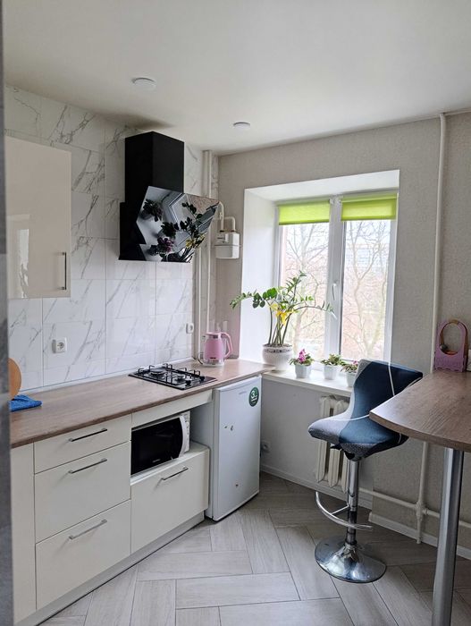 Центр,квартира з євроремонтом,подобово.