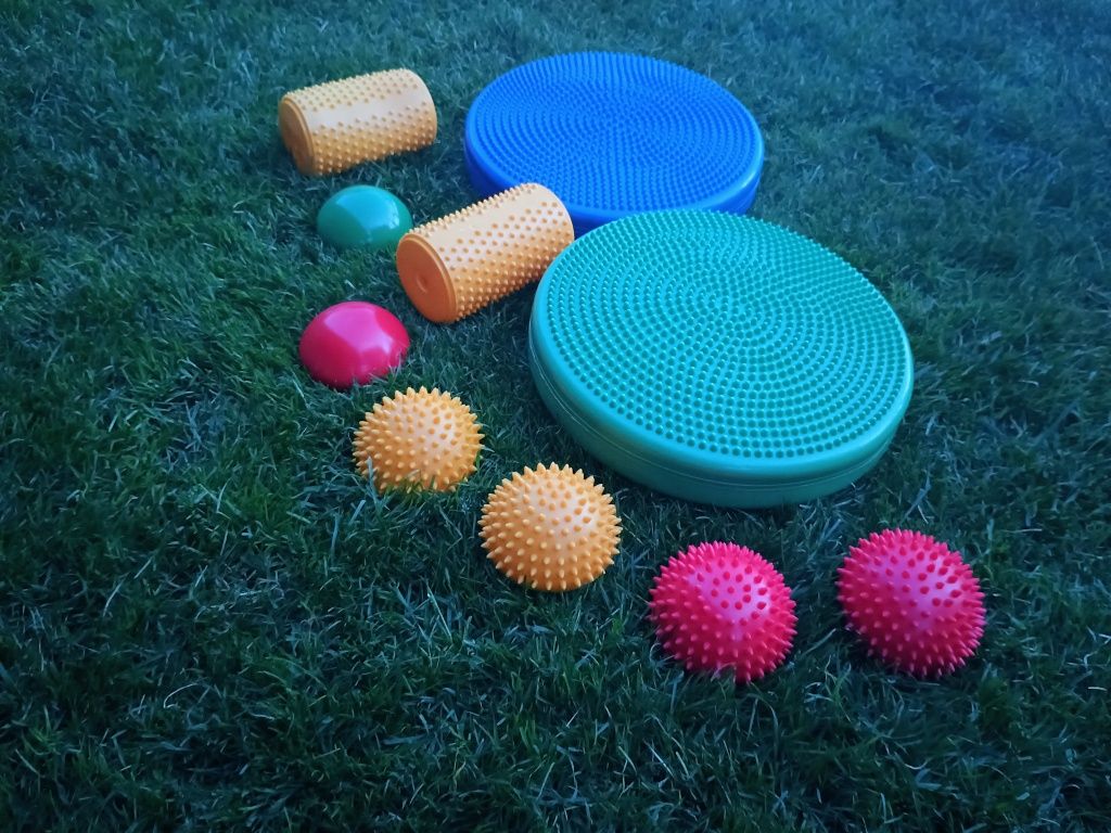 Tor sensorycznyy