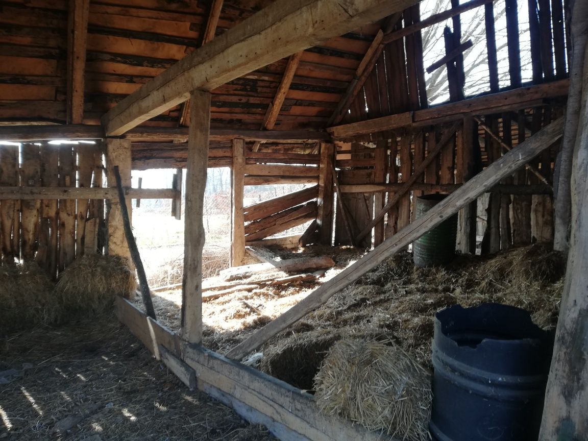 Stara stodoła drewniana do rozbiórki