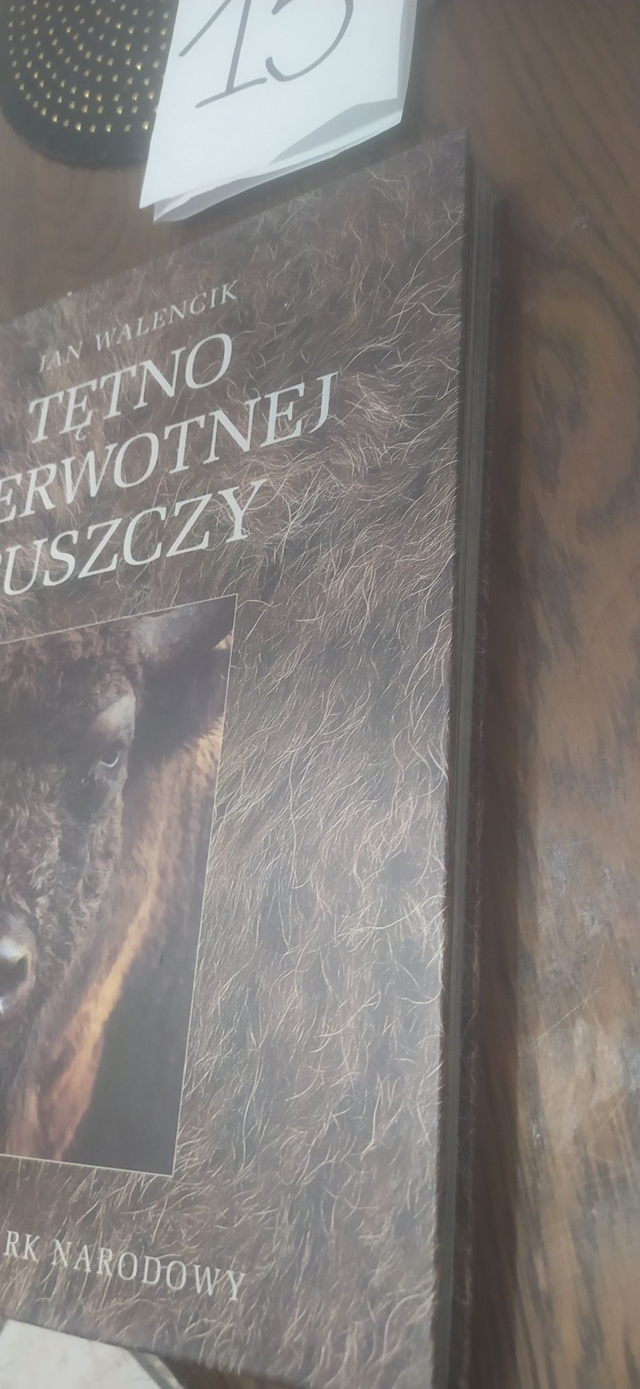 Tętno Pierwotnej Puszczy Jan Walencik