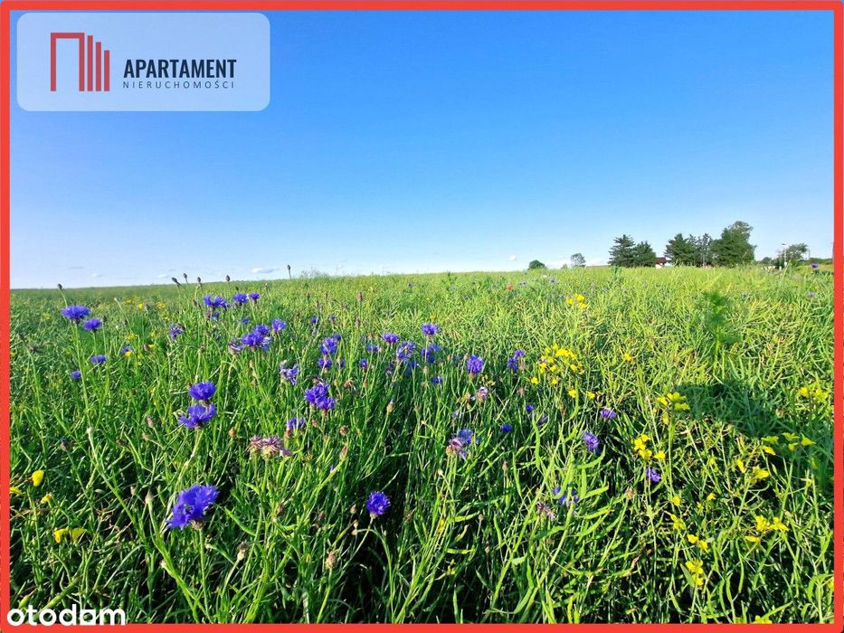 Tylko U Nas! Idealne miejsce na Twój wymarzony dom