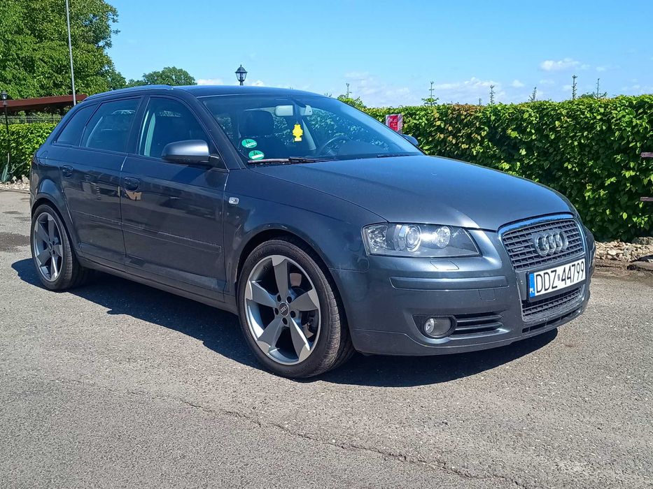 Audi A3 8P 2.0 TDI 170KM Quattro, Panorama