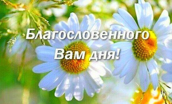 Котедж в с.Рибник
