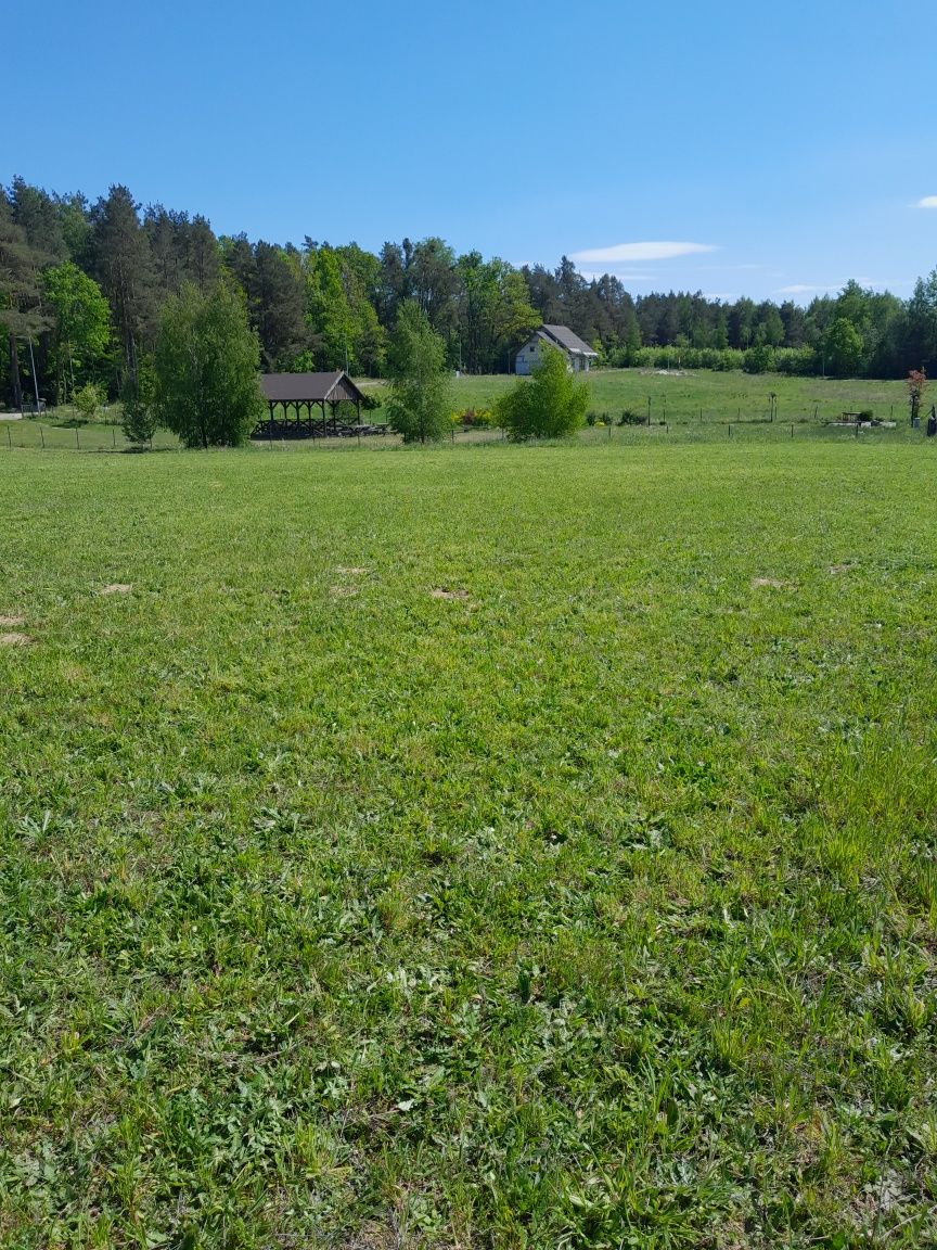 Pole namiotowe kempingowe nad jeziorem Narie