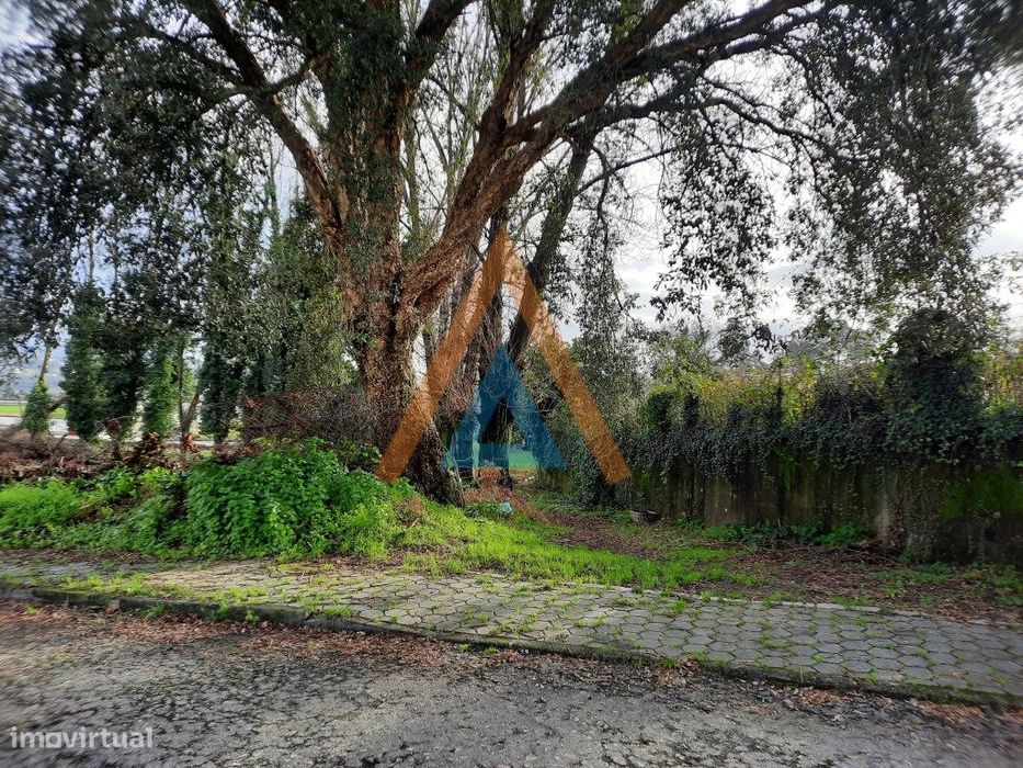 Terreno no centro da Vila de Cucujães