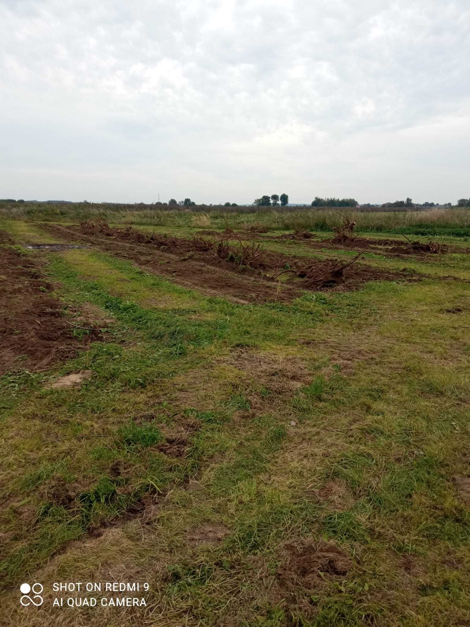 Koparko ładowarka, glebogryzarka separacyjna, rębak, mulczer, wywrotka