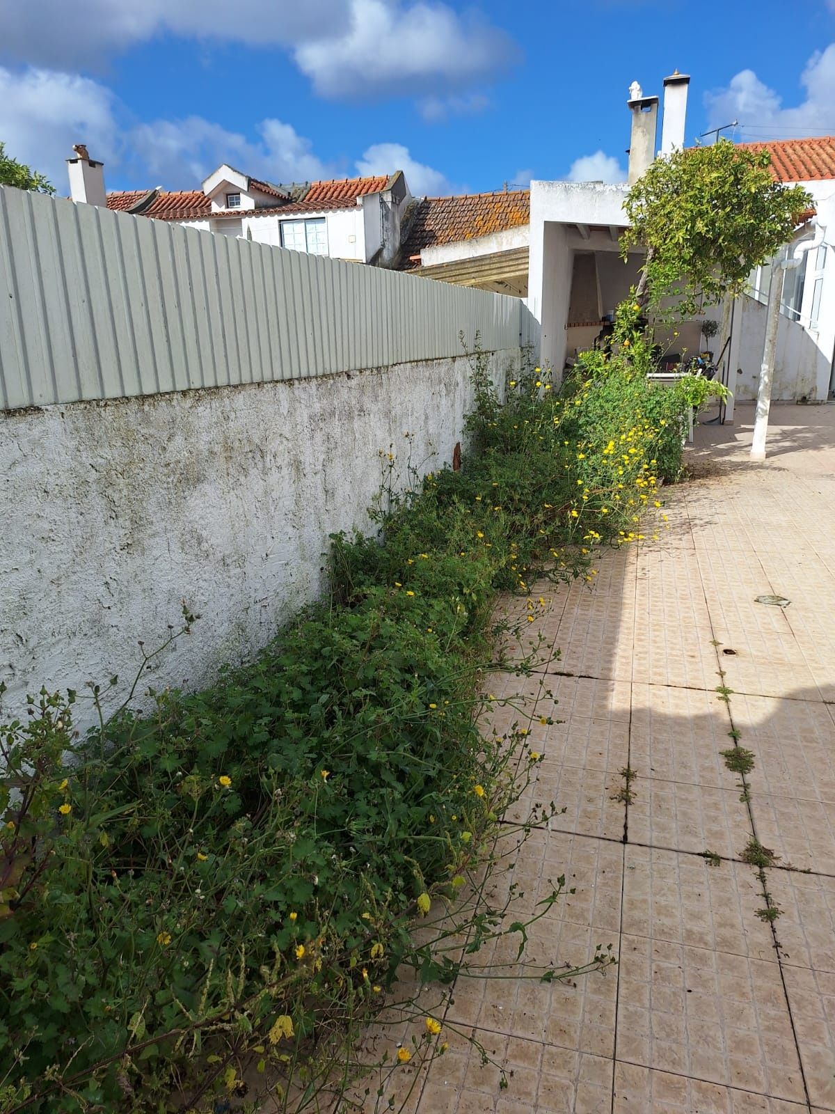 Manutenção jardins limpeza terremos corte de árvores vedações