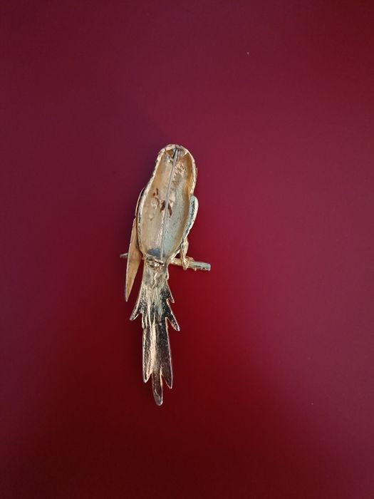 Broche/Pregadeira papagaio