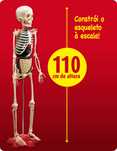 Modelo do corpo humano