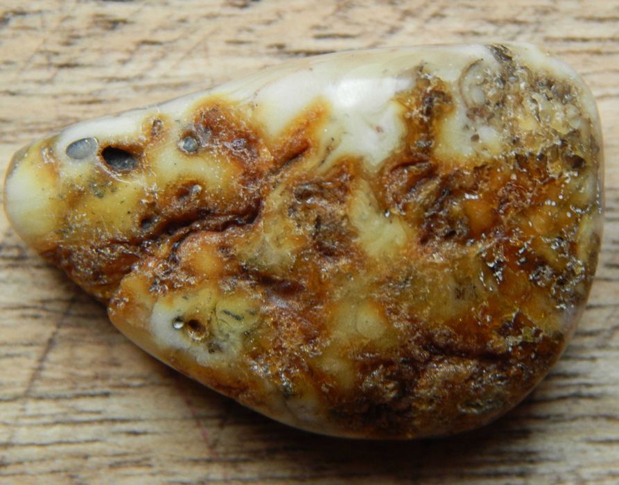 Bursztyn bałtycki, multikolor, ok. 5,01g