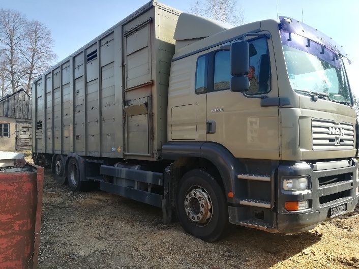 MAN TG360A do przewozu zwierząt