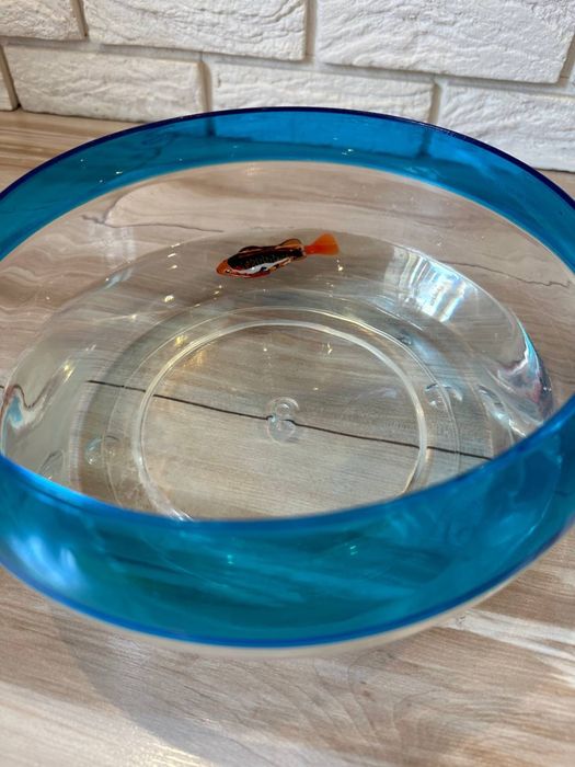 Robo fish робот рибка