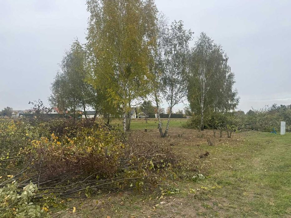 Profesjonalne Mulczowanie, Karczowanie, Wycinka Drzew