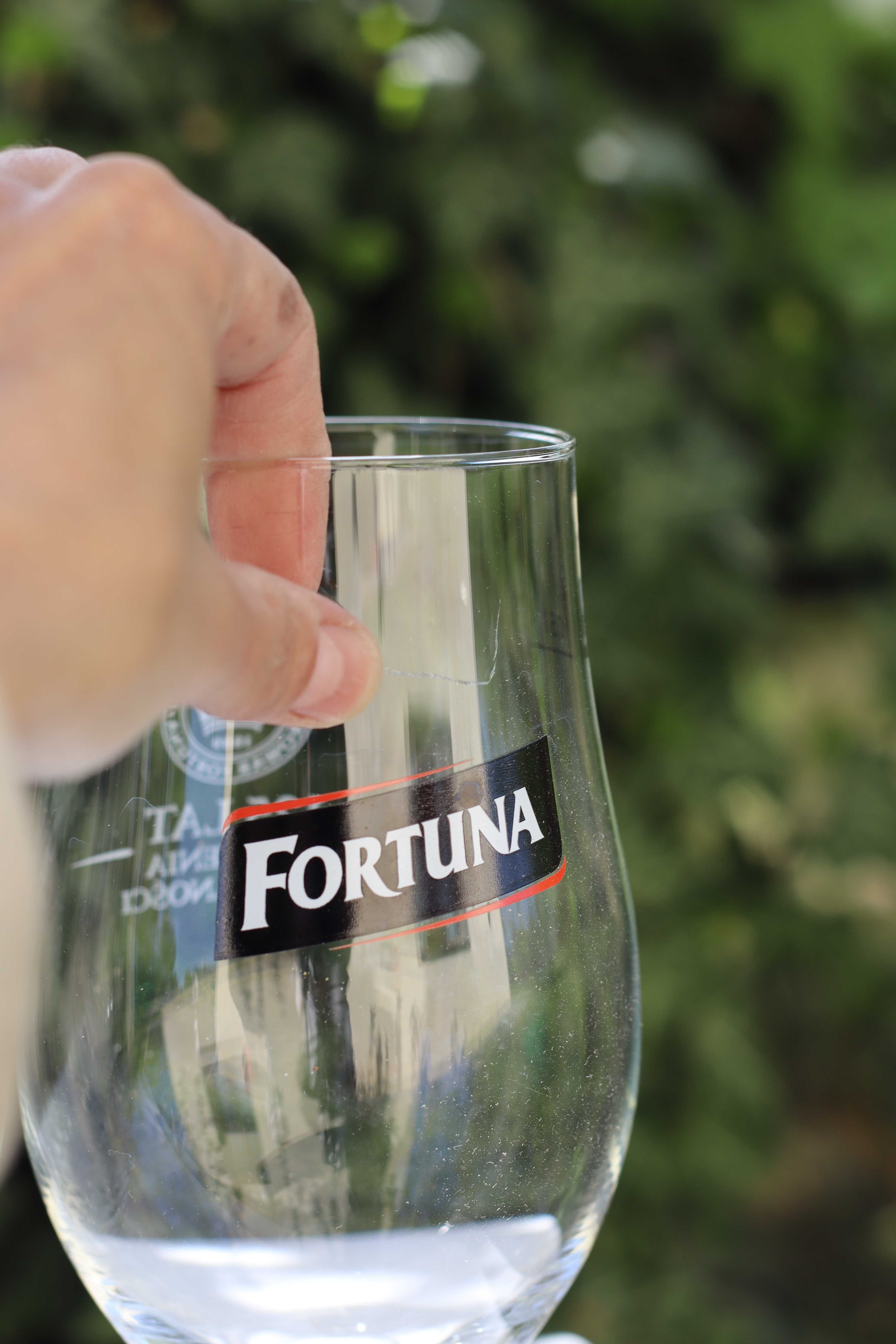 Kufle Fortuna zestaw kolekcja 6 sztuk
