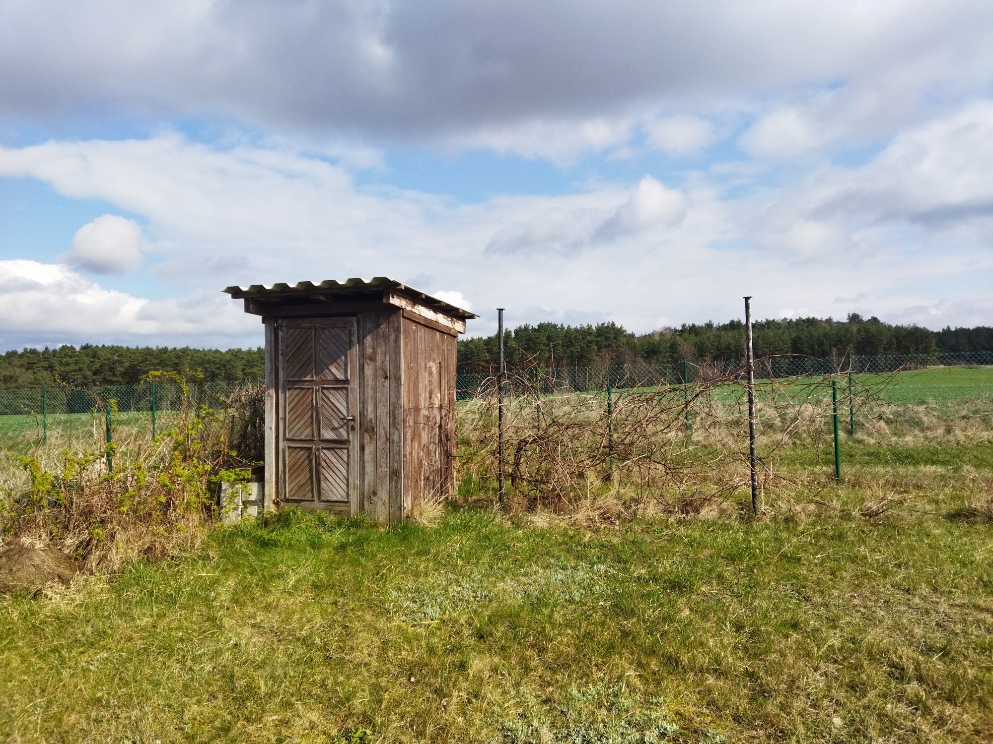 Działka ogrodnicza ogródki działkowe