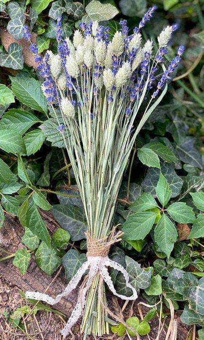 Букет з лаванди та зеленого фаляріса