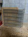 Gaiola para coelhos anões