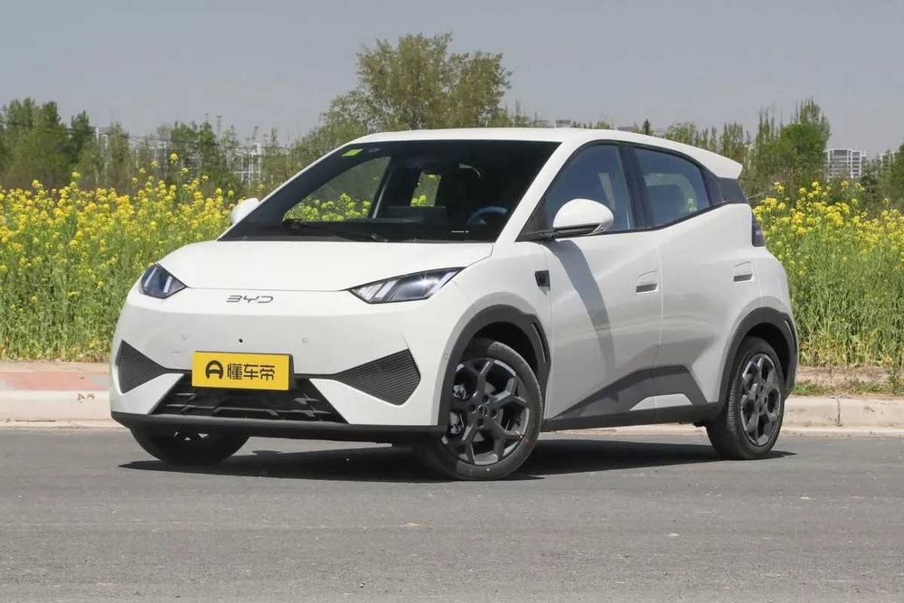 BYD Seagull 405 km Flying 2025