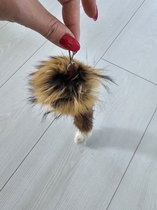 Brelok, ogon, zawieszka