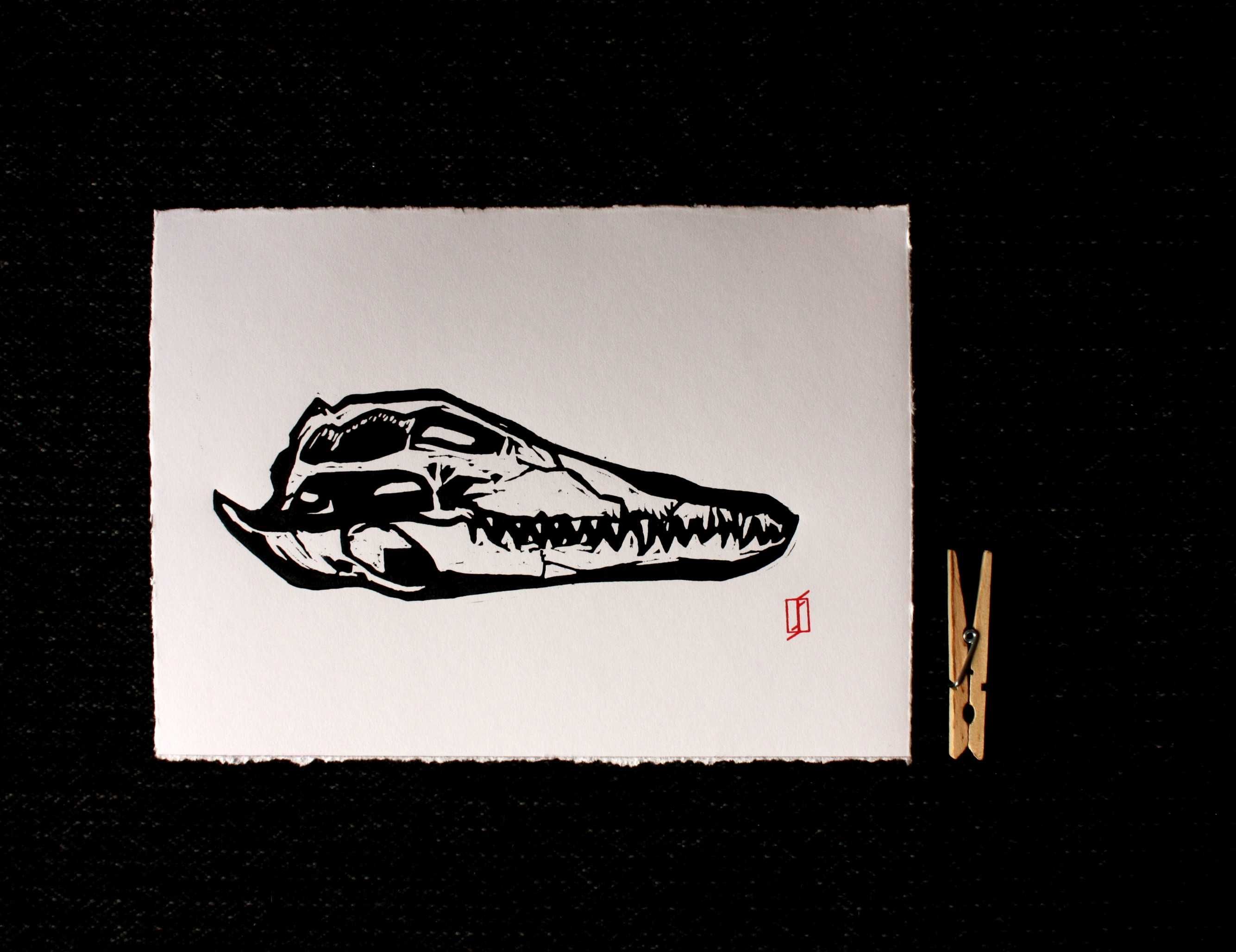 Linoryt, grafika artystyczna – Czaszka krokodyla