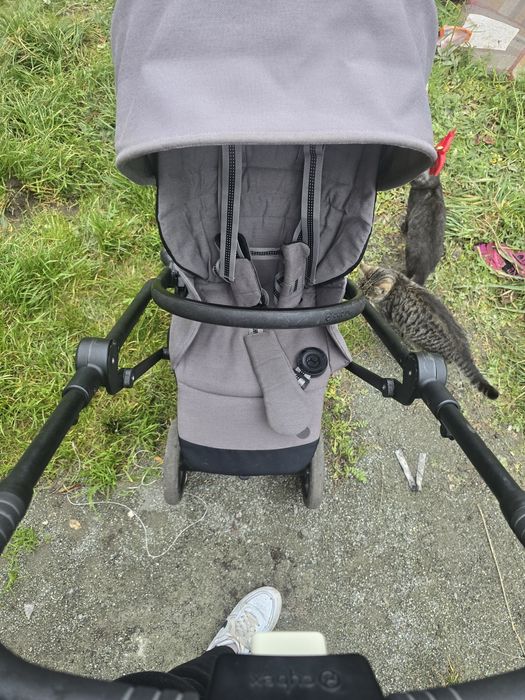 Cybex eezy twist +2
