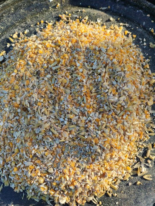 Mieszanka zbożowo ziołowa dla kur, pasza dla kur 25 kg