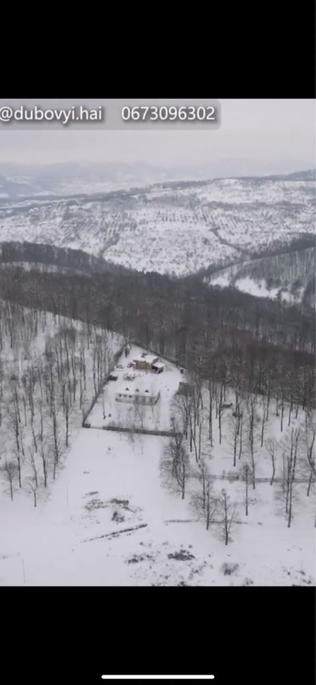 Посеред лісу в горах е ставок
