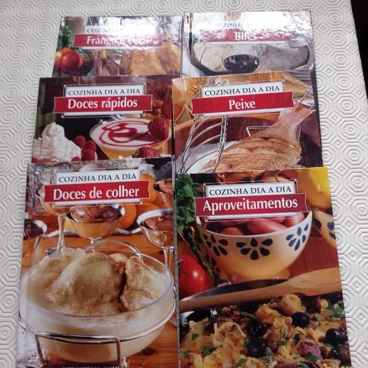 vendo livro lote 6 livros cozinha dia a dia