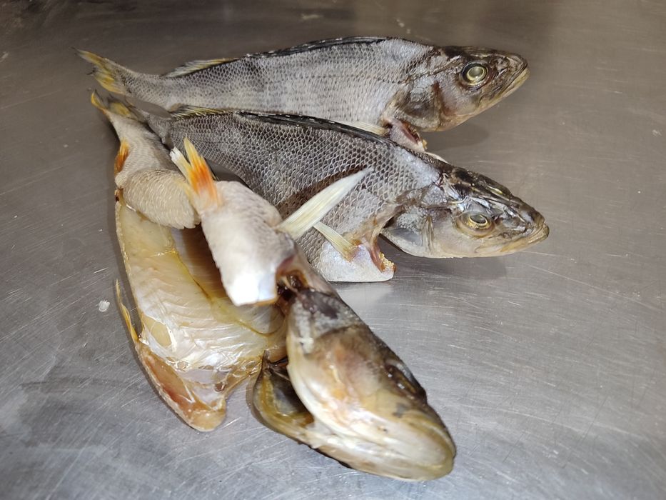 В'ялена густера в наявності опт та роздріб