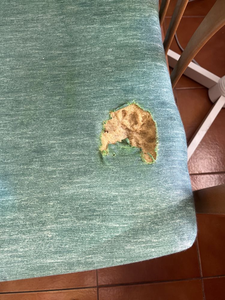 Sofá-Cama Verde com Braços em Madeira