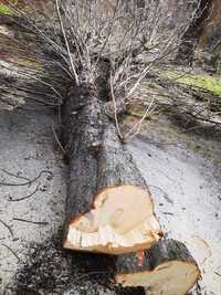 Drzewo na opał na sprzedaż w Zabrzu