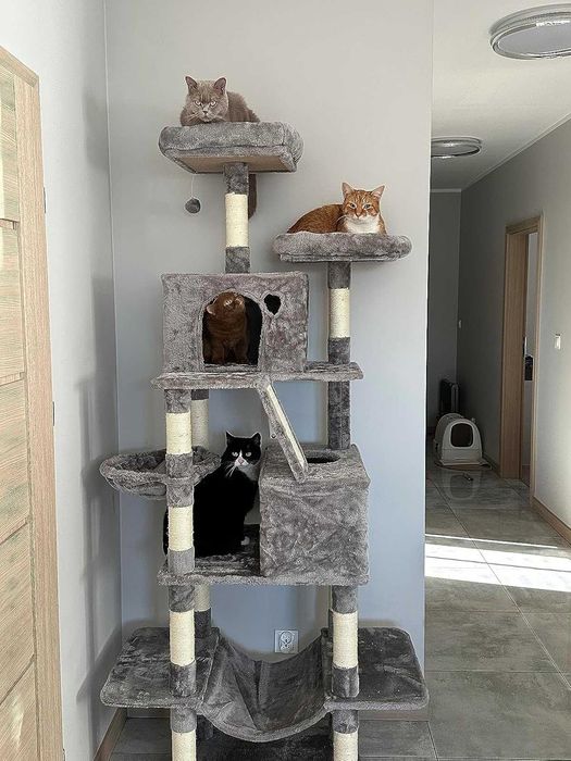 Drapak dla kota GIGANT nowy Wysoki 7 poziomów legowisko słupek domek