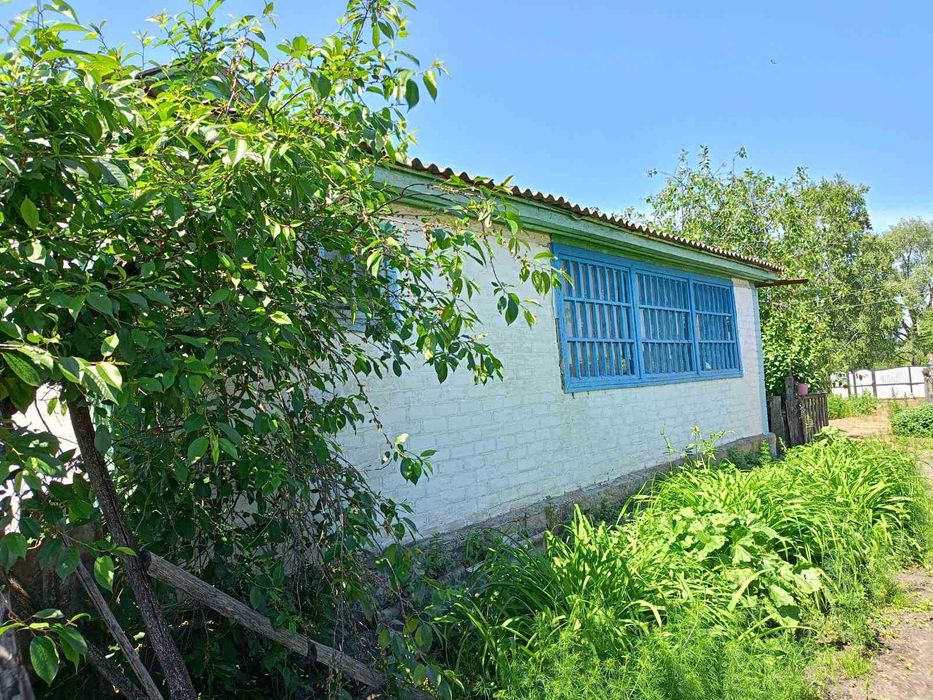 Продам будинок в селі Надинівка.