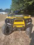 Cectek gladiator