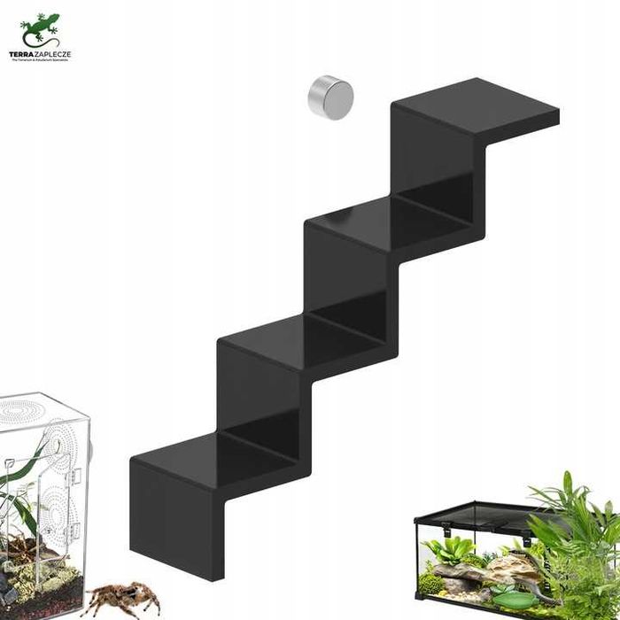 Magnetyczna półka dla skakunów pająki skacząca Schodki  TerraZaplecze