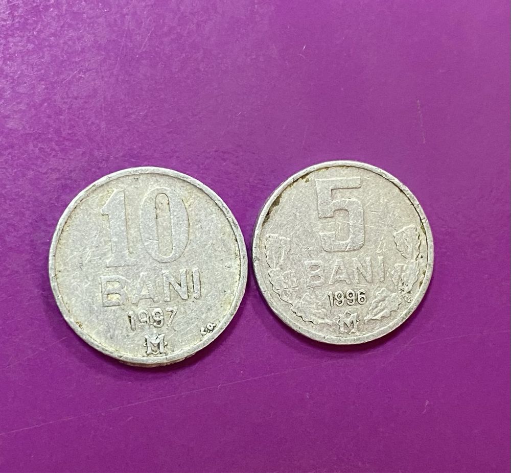 Монети Молдови, 5 та 10 bani