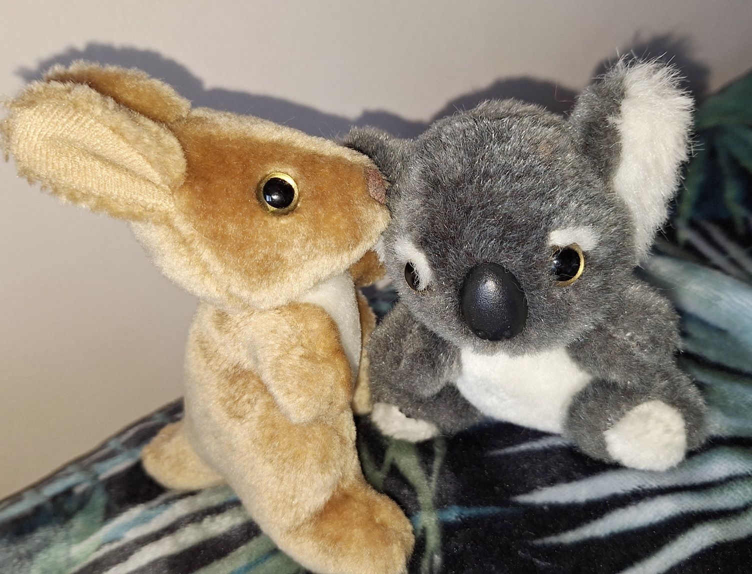 Kangur Koala - maskotki z Australii