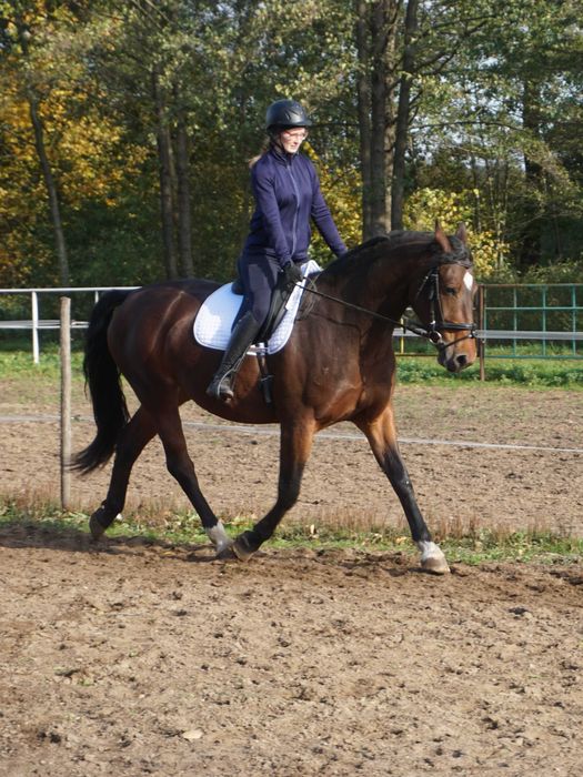 klacz do sportu rekreacji