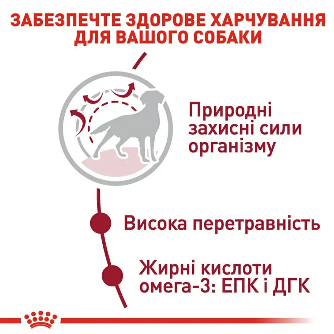 Продам корм сухий Royal Canin Medium Adult для дорослих собак середніх