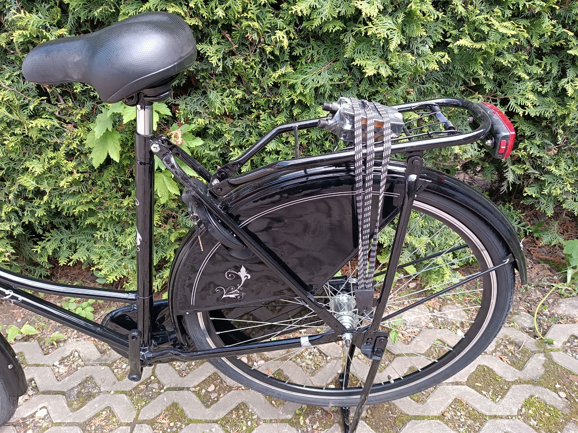 Nowa śliczna holenderka Van Cranenbroek