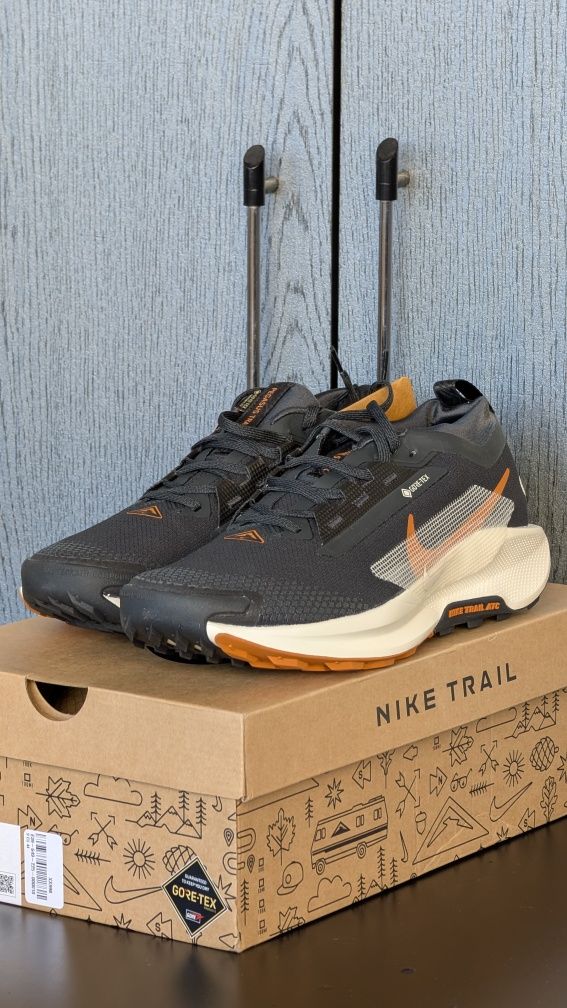 Nike Pegasus Trail 5 GTX 
Gore Tex