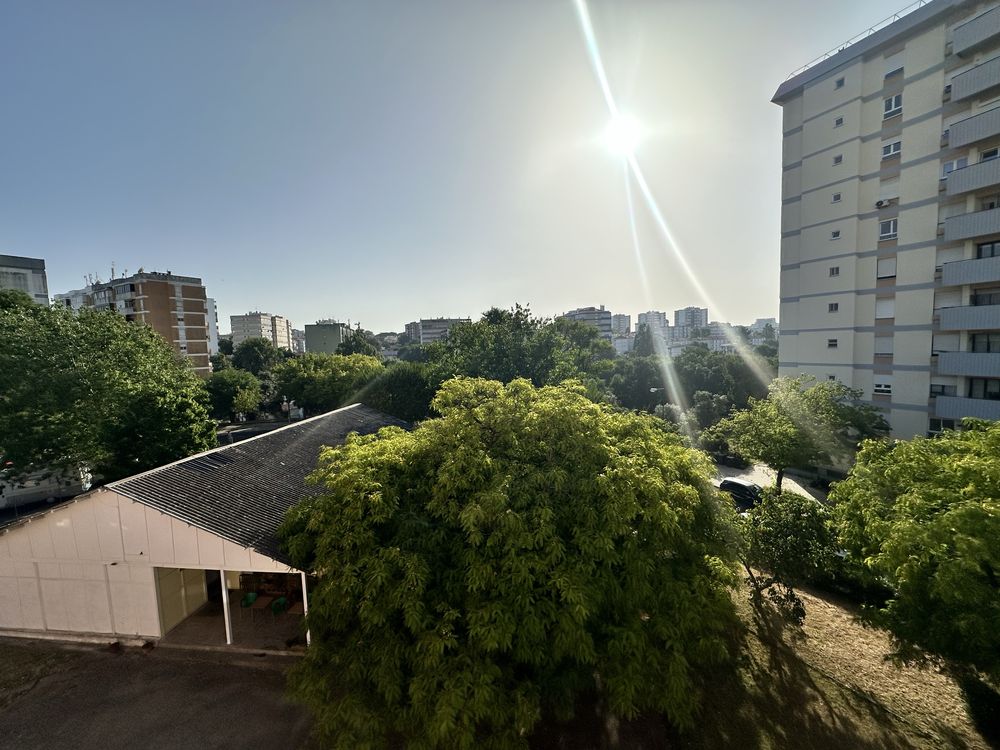 Olivais para remodelar