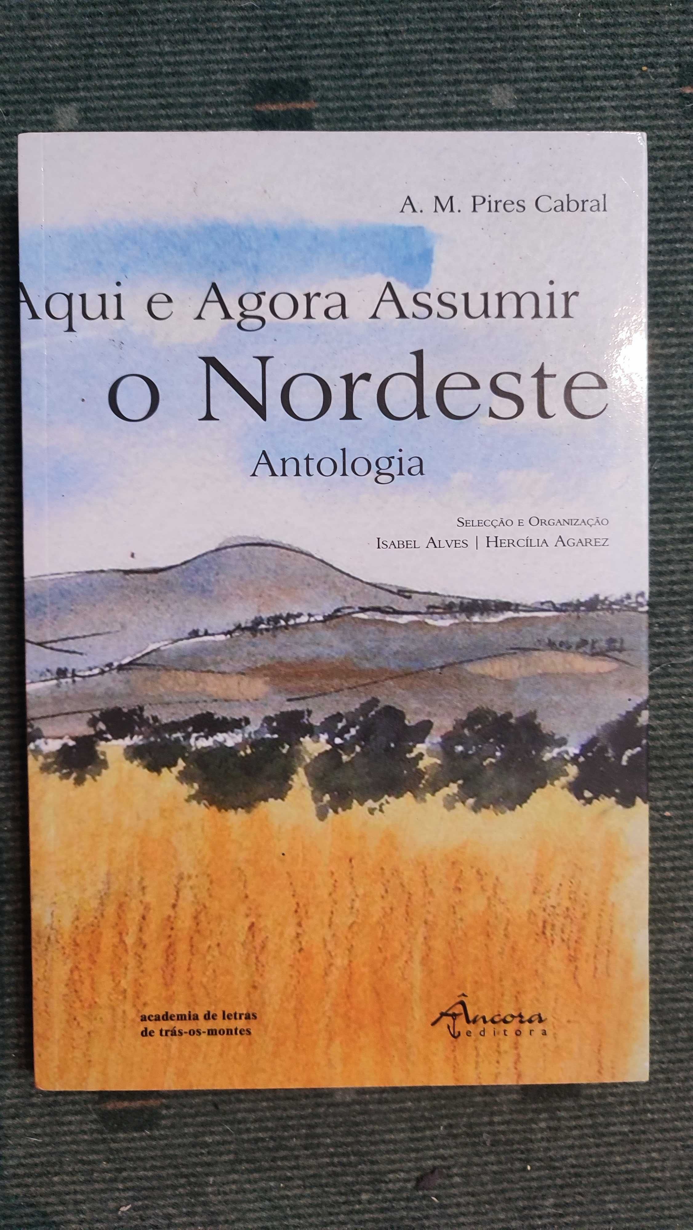 Aqui e Agora Assumir o Nordeste Antologia - A. M. Pires Cabral