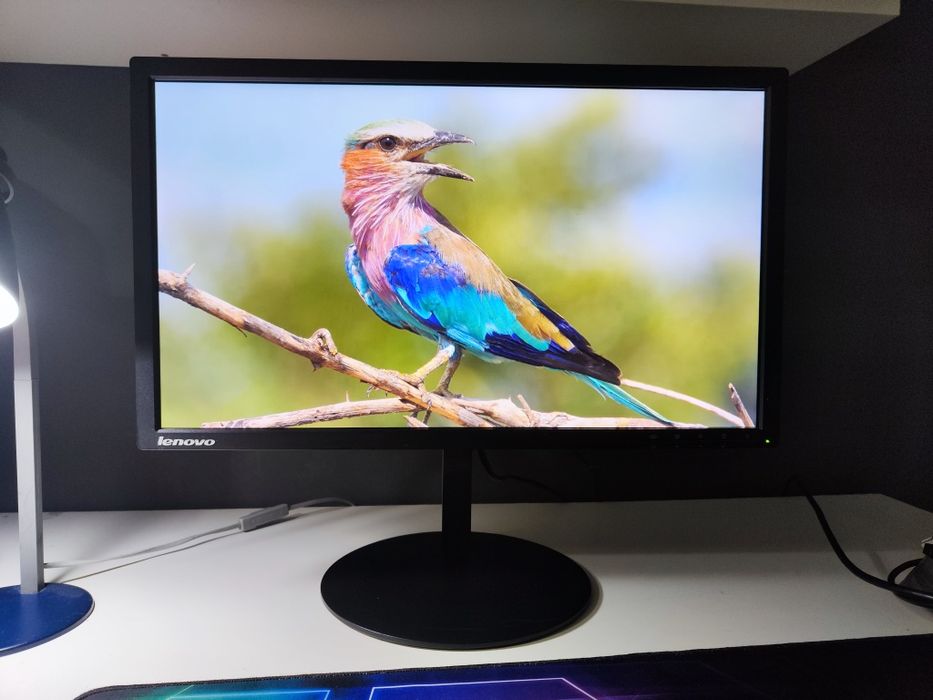 Monitor Lenovo ThinkVision 23 Polegadas